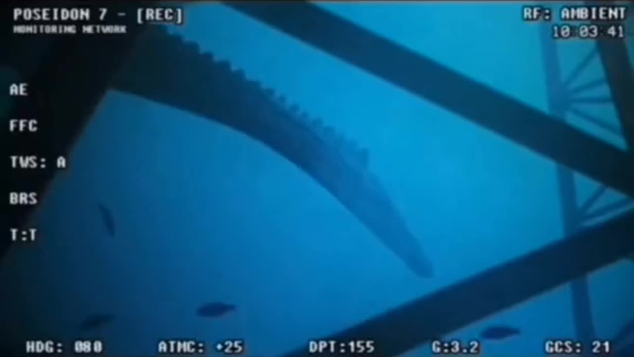 😱👻 Wait For The End... Ouija, Jinn, Aliens, Poltergeist, UFO | TheHauntingHour