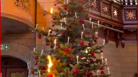 Candlelight Crescendo 🕯️