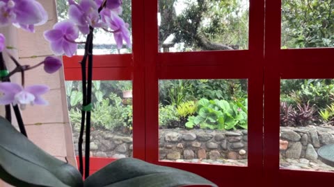 #window Day 9 [30-Day Dance with 30-Seconds]