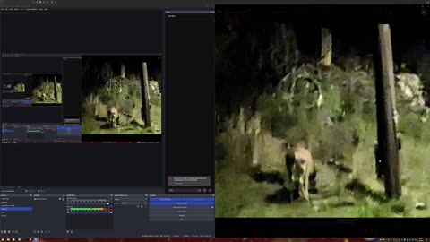 Old Photo Evidence of a Cryptid & Potential Reappearance - Ongoing Investigation