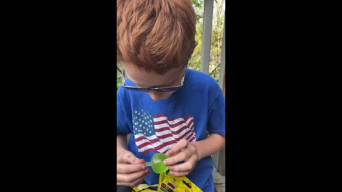 Candy challenge