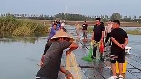 Must Watch: Best cast net fishing Catching big fish with cast Net fishing