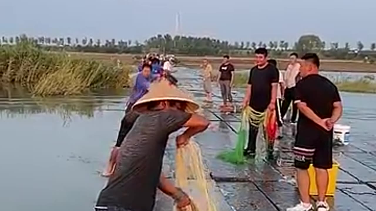 Must Watch: Best cast net fishing Catching big fish with cast Net fishing