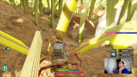 Win With Andrew - Grounded 2 with the Mrs.