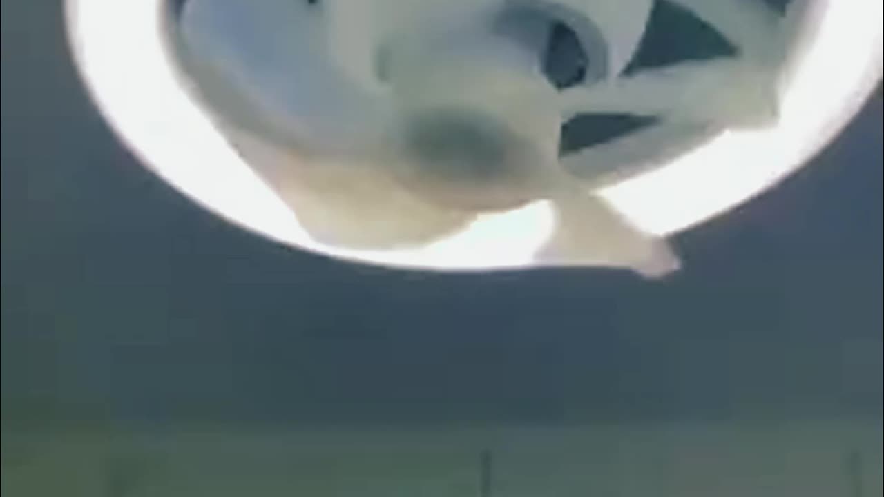 360° Shaking Head Ceiling Fan Light