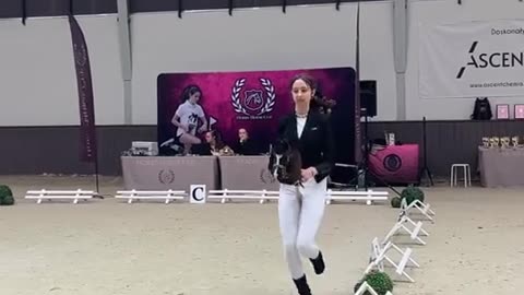 🤯🚀 You Won't Believe This Hobby Horse Dressage! | FunFM