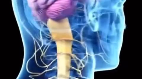 This is the reason why you don’t want to sleep next to your phone.