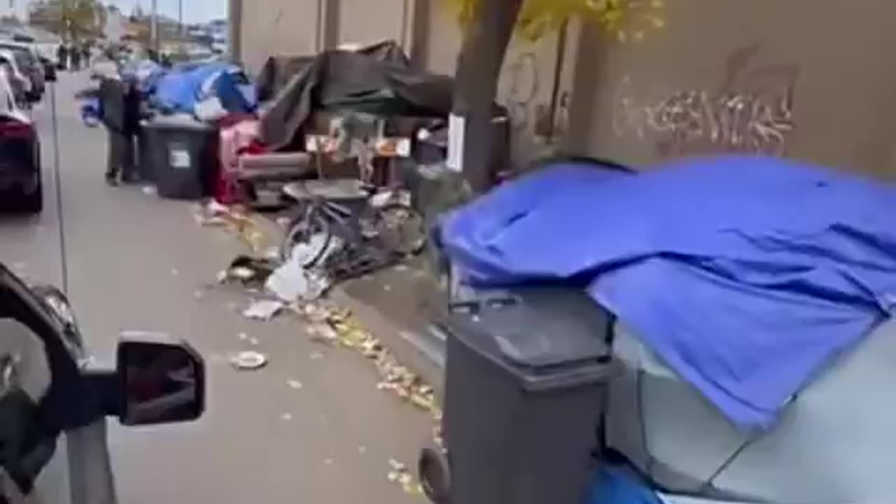 The state of Minnesota is turning into an apocalypse zone under Democrat