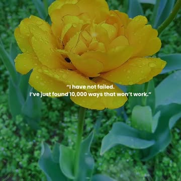 I have not failed. I’ve just found 10,000 ways that won’t work.