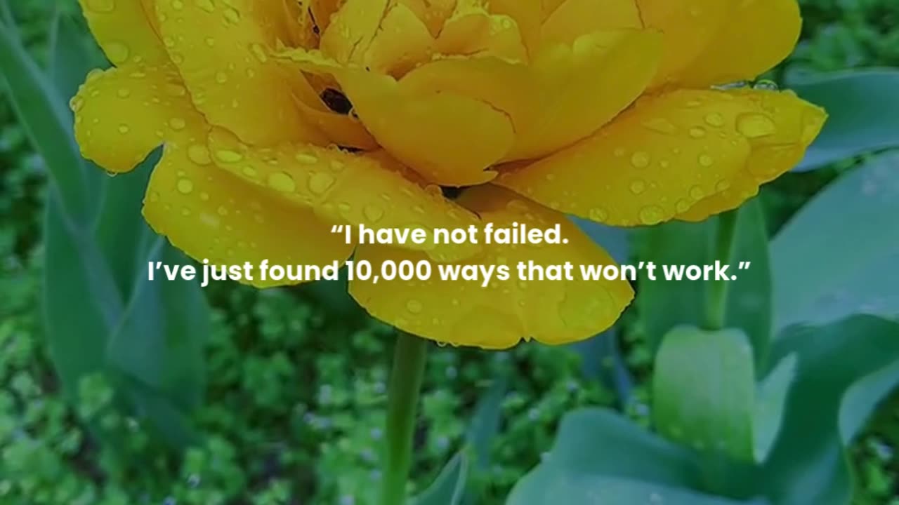 I have not failed. I’ve just found 10,000 ways that won’t work.