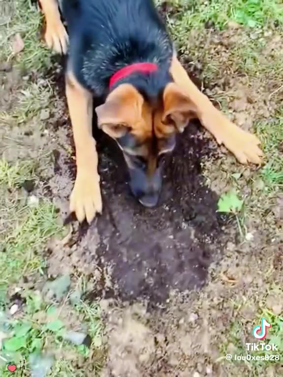 ANNOYING 🙃WEDNESDAY 9/30/25