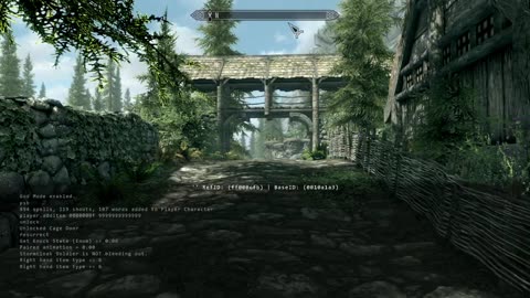 Wolf Slumbers Live Stream 22