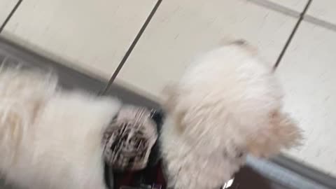 Walking across Flinders St Station tiled surface