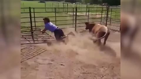 Best Funny Animals Caught on Camera - Try Not to Laugh 😂