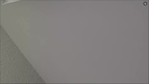 Test 1358