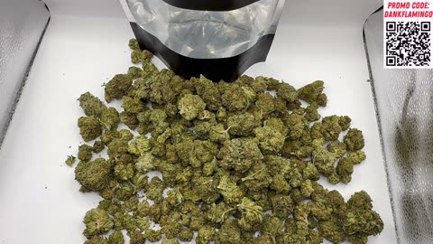 Legal Mushrooms and Dank Budz from THCA Small Buds! Mrs Dank Flamingo!!