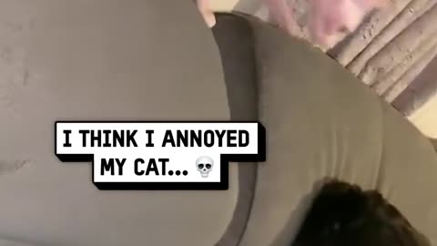 😂😱 Don't try this at home, kits! | FunFM