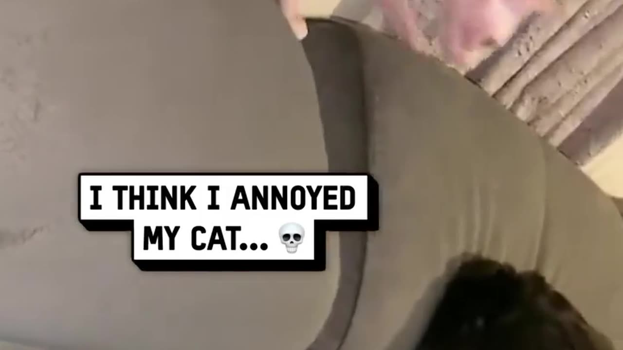 😂😱 Don't try this at home, kits! | FunFM