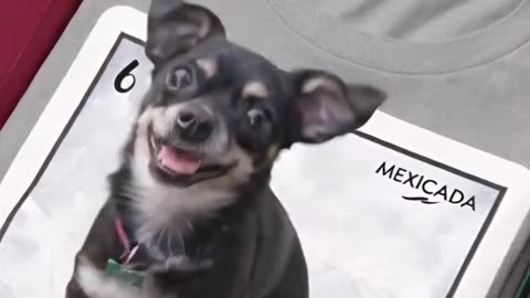 ¡Mira a este pequeño aventurero con su look único! ¿Quién puede resistirse? #NiñoConEstilo