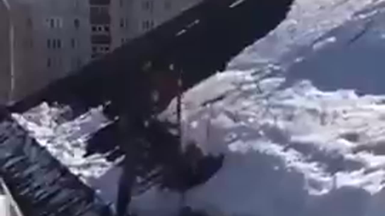 Bro living in a cartoon world | funny video | crazy clips