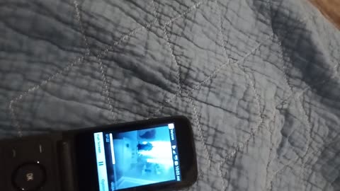 Jeff Wiener posted one of the dumbest takes EVER about The Shawshank Redemption.