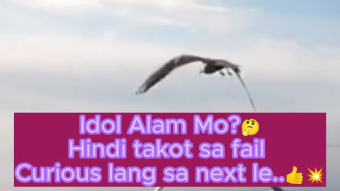 Hindi takot sa fail