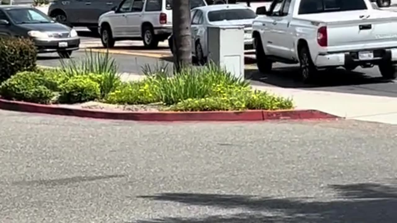 When your steering’s fine but your judgment’s out of alignment