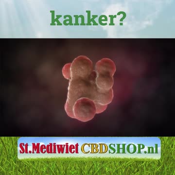 Hoe ontstaat kanker