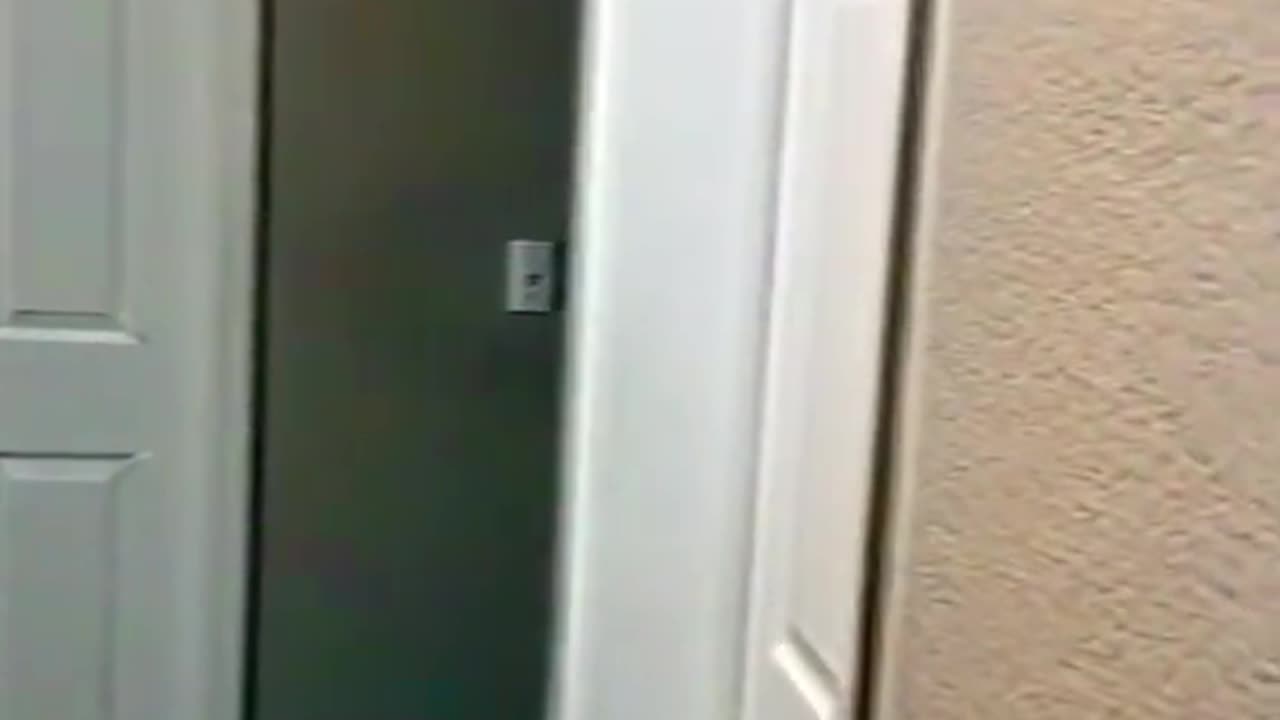 😱👻 You Won't Believe What They Caught on Camera! Ouija Board, Jinn, Aliens, Poltergeist | TheHauntin