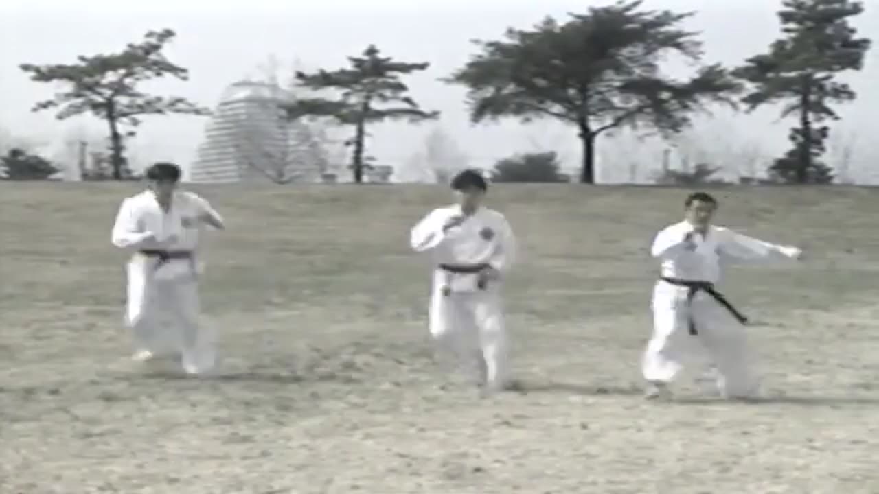 Hapkido/Hankido