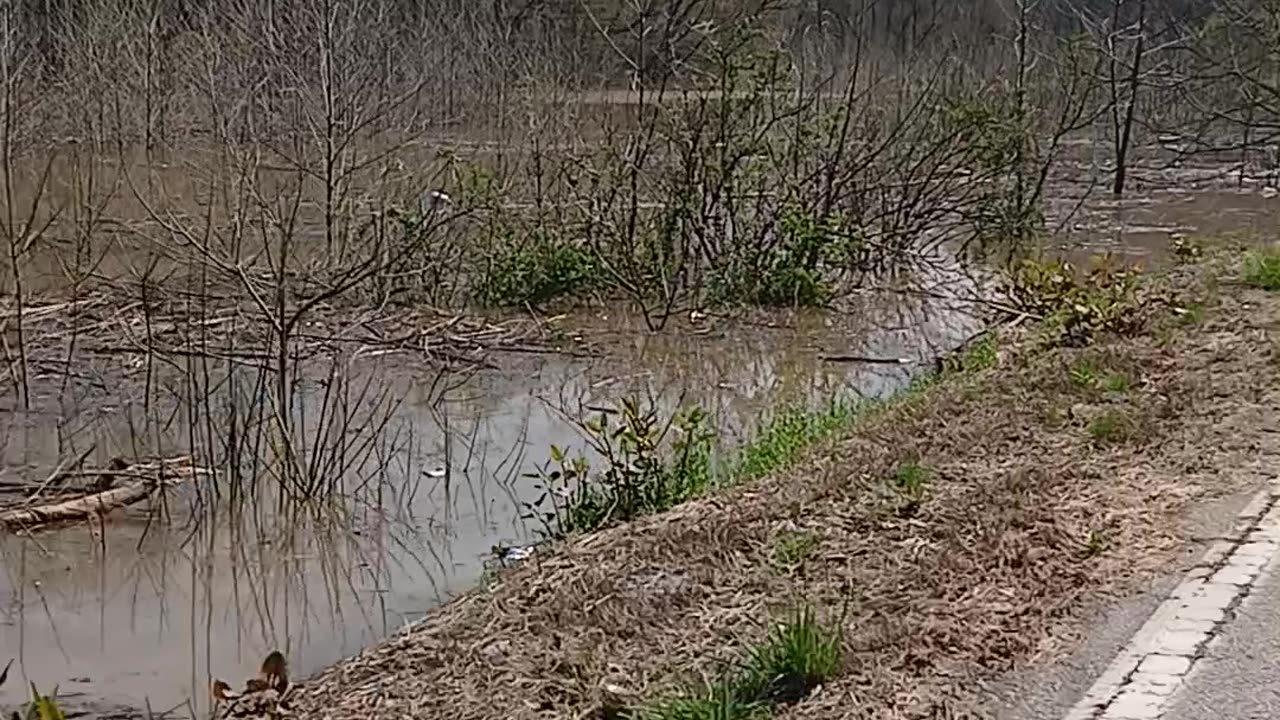 Ohio River Flood 2025
