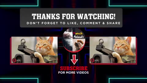 😻🐾 Funny Cat Compilation! 🤣