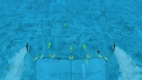 How Seafood is Caught: Bottom Trawling