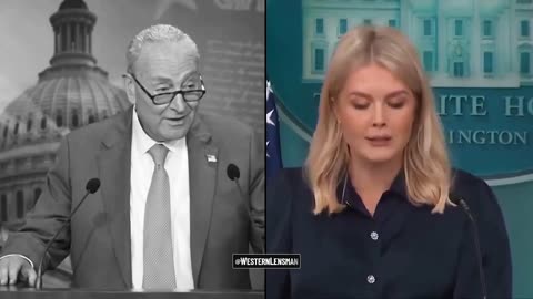 Schumer: The $200M White House ballroom is govt waste❗ He's WRONG❗