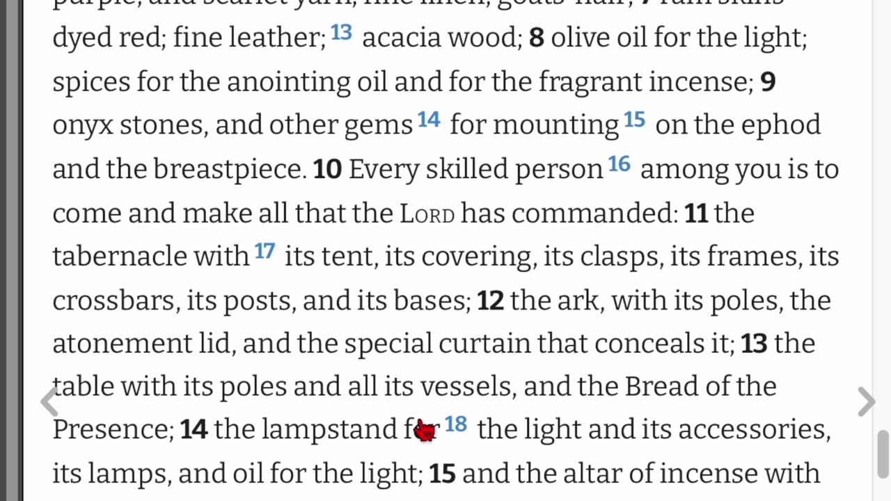 Exodus 35