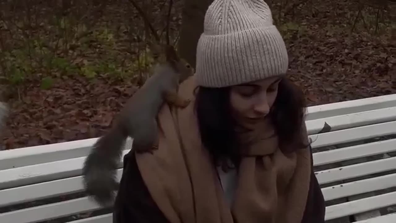 Be careful, the squirrels in the park can take your scarf!