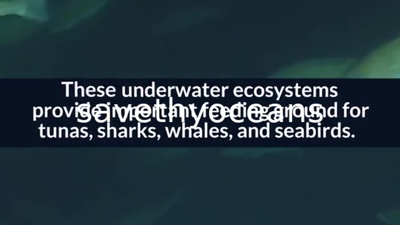Celebrating Tang. Canada's Newest Marine Protected Area