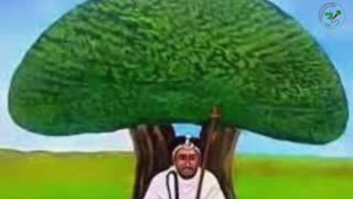 Qophii Addaa ONM-ABO Sadaasa 12-2025 itti dhiyaadhaa!