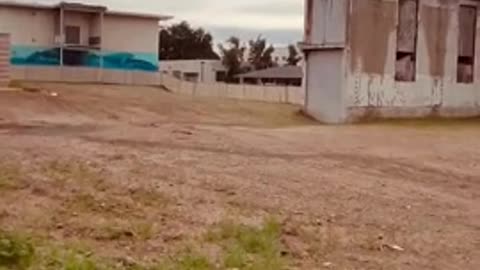 Aftermath of the California Wildfires -- One Year Later