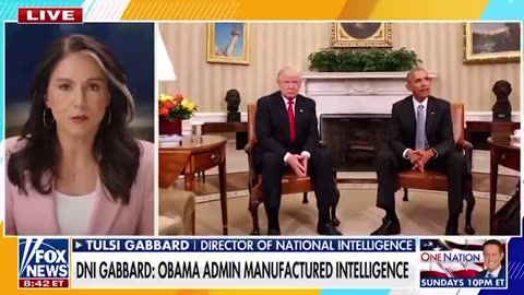 Tulsi Gabbard is Doubling Down on what she released AGAIN today