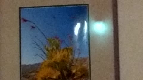 Light looks green in reflection on a painting from cell phone camera white balance and light adjust