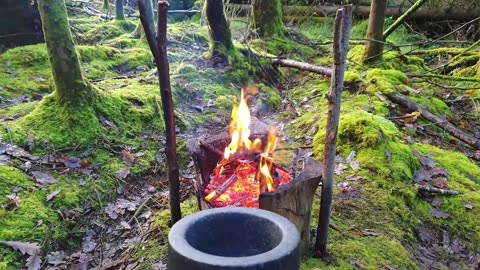 Feast in the Wild: Crafting Gourmet Meals Outdoors