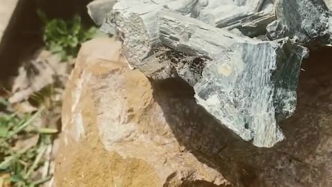 ✨🌌 Otherworldly Tremolite Crystal Chunk Will Blow Your Mind! | FeedMyCuriosity
