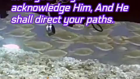 Bible Promises with Beautiful Visual Presentation