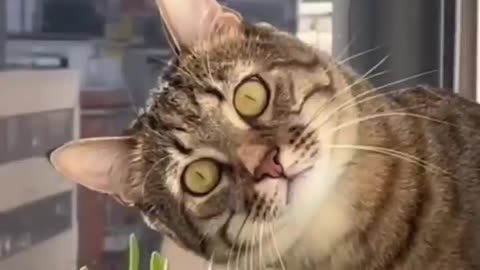 What's going on over there?