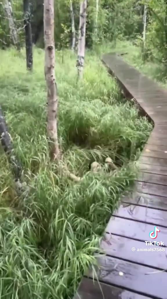 SLIPPED 😩THURSDAY 10/2/25