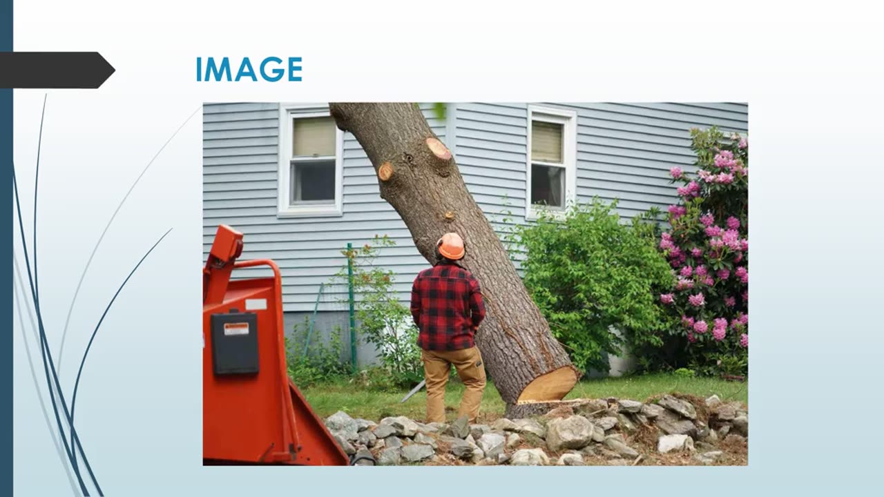 Best Tree removal in Liberton