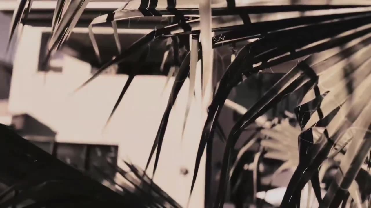 Bump J - Blood Sport