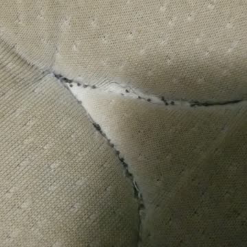 the evil aliens told the probation officers to put lice, fleas and scabies all over my room!