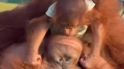 MOTHERS 💕 LOVE